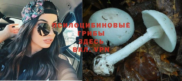 не бодяженный Михайловск